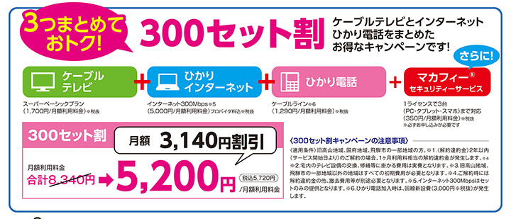 300セット割